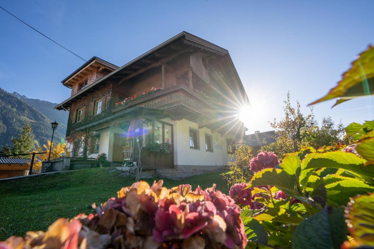 Gaestehaus Waldruh Brandberg Exterior foto
