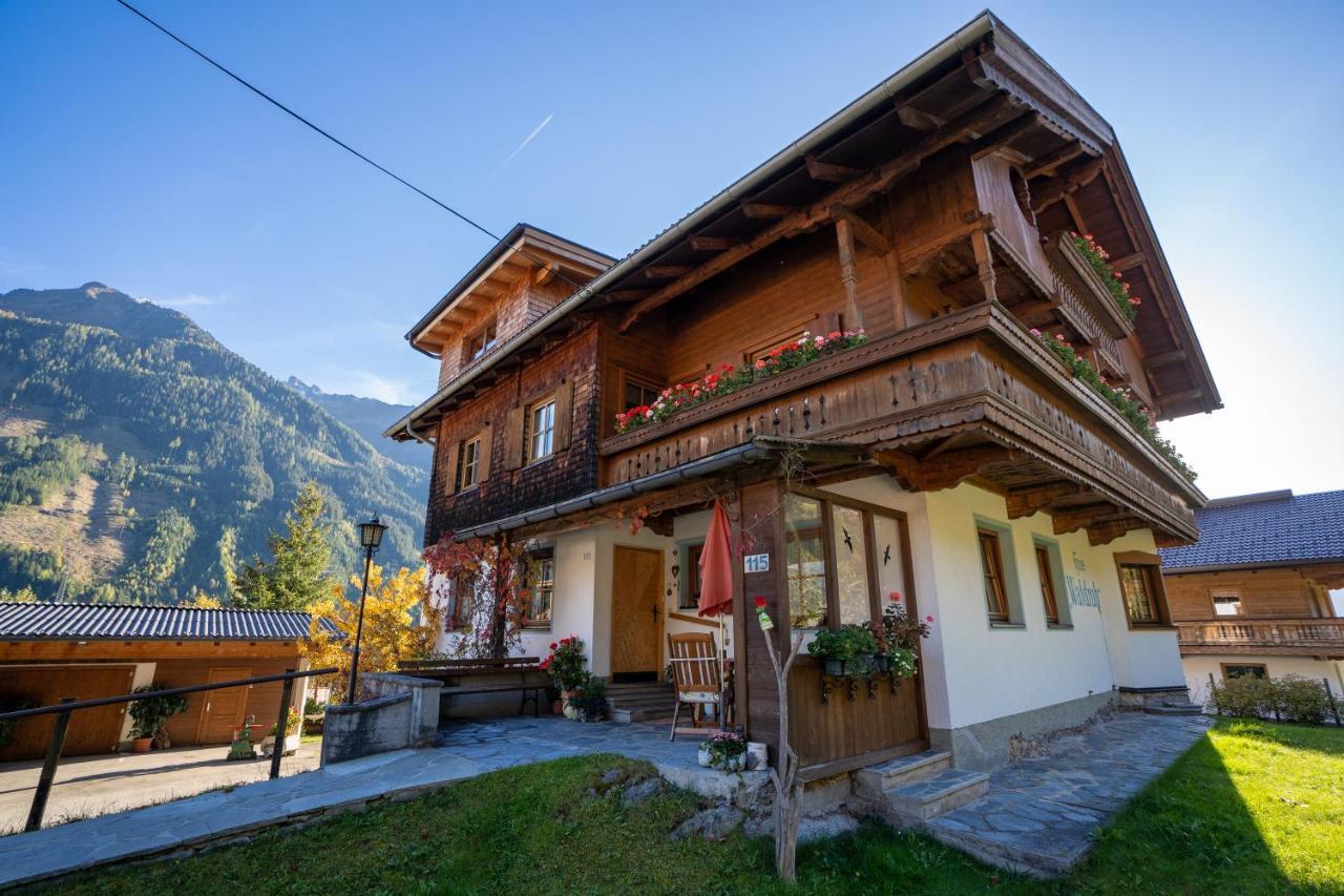 Gaestehaus Waldruh Brandberg Exterior foto